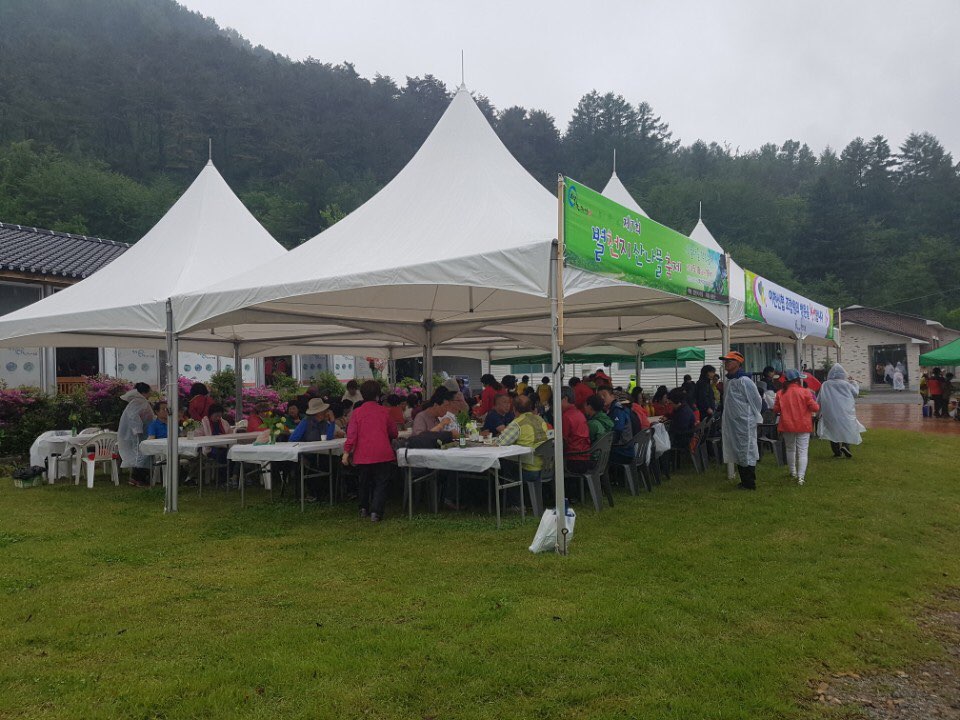 KakaoTalk_20180523_110222780산나물축제