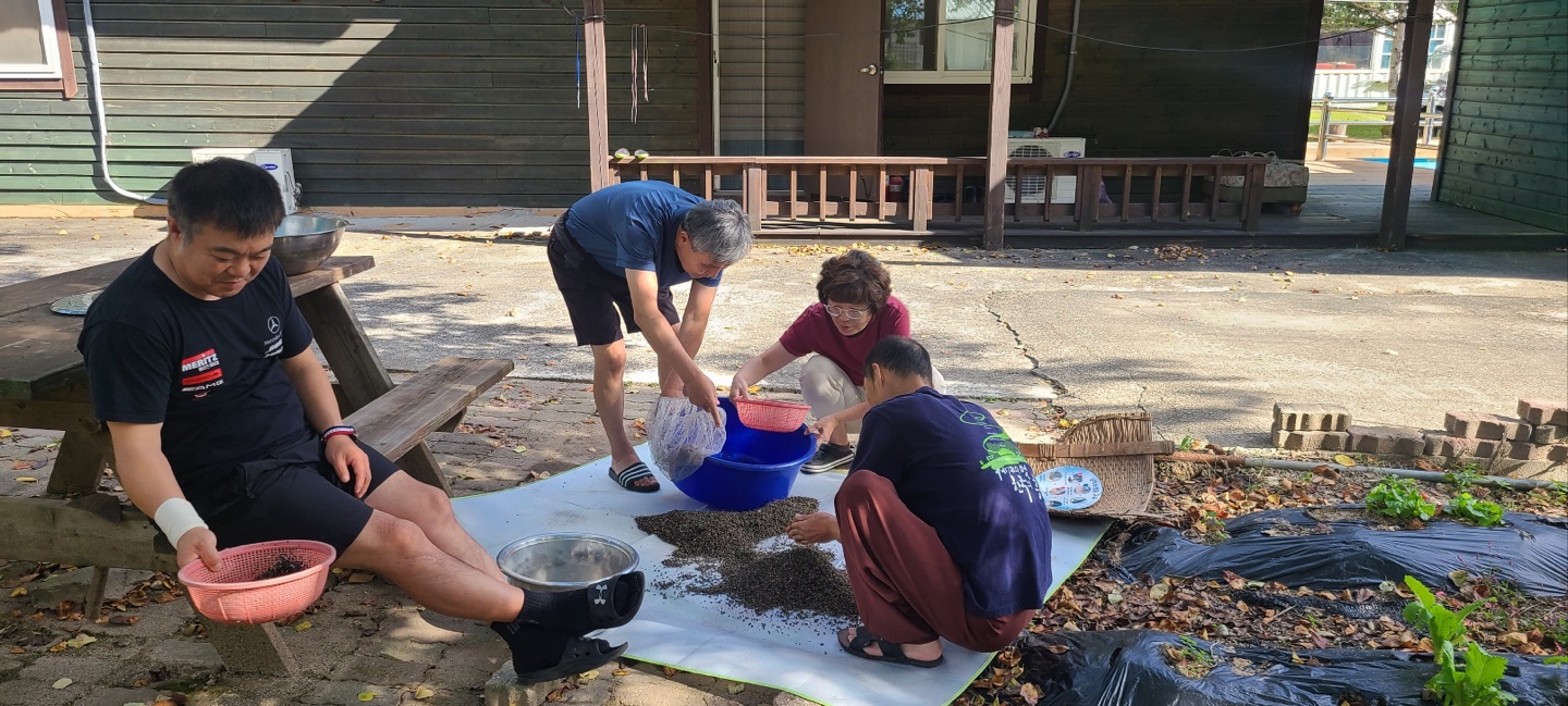 산초말리기